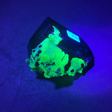 Load image into Gallery viewer, Hyalite Opal on Black Tourmaline
